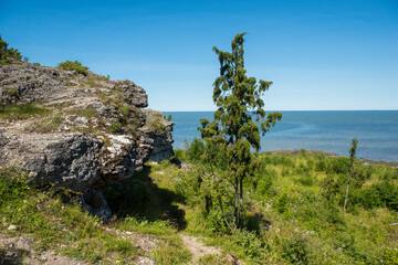 Uugu bluff or cliff on the Muhu Island in Estonia, located by the and near the island of Saaremaa
