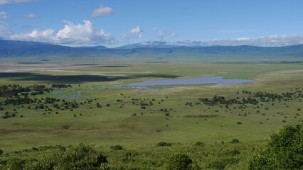 Fototapeta premium Magnifique vue d'une paysage de Tanzanie, avec la savane à perte de vue.