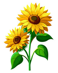 Fototapeta premium sunflowers buds, yellow petals blooming, green stems with leaves, photorealistic digital painting, highly detailed close-up, transparent background