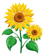 Obraz premium sunflowers buds, yellow petals blooming, green stems with leaves, photorealistic digital painting, highly detailed close-up, transparent background