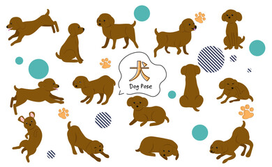 可愛いトイプードルのポーズイラストセット