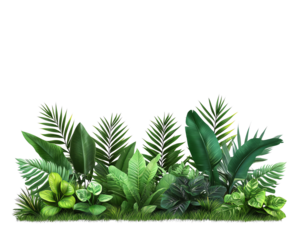 A lush, green assortment of tropical plants and foliage