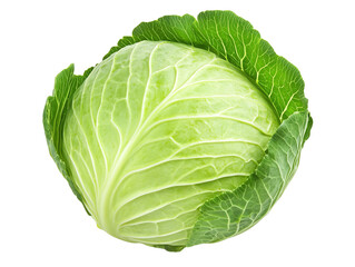 Fototapeta premium Fresh green cabbage with crisp leaves