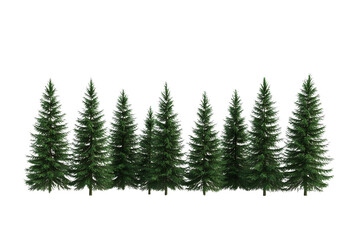 Obraz premium A group of lush, green evergreen trees\