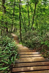 Obraz premium hiking. Korean mountains. wooden stairs in the mountains. infrastructure in the mountains. path to the top of the mountain. healthy lifestyle