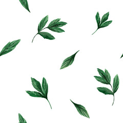 Seamless pattern with green peony leaves. Watercolor illustration on white background. For wrapping paper, textile, wallpaper, packaging, fabric