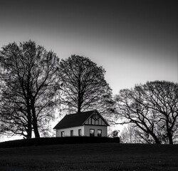 Obraz premium At dusk amidst the landscape and trees, you can enjoy the full view of a lonely romantic place. In black and white