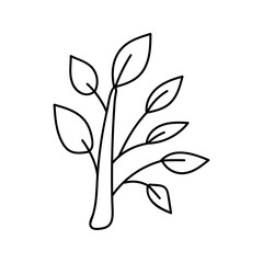 Leaves, plant in doodle style. Vector, on a white background