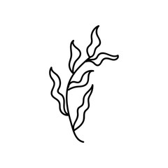 Leaves, plant in doodle style. Vector, on a white background