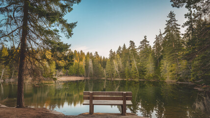 A photo of a serene nature scene. A wooden bench is placed near a calm lake, surrounded by tall trees. The sky is clear with a few visible stars.