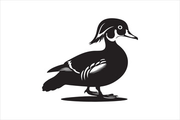 wood duck silhouette vector and illustration