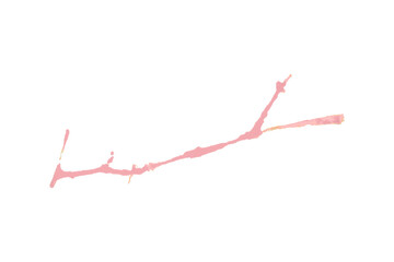 Pink watercolor background. Artistic hand paint. Isolated on transparent background.
