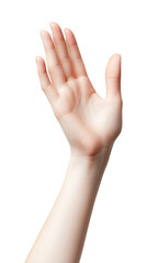 Obraz premium Female hand with raised palm, smooth skin, elegant gesture, and natural beauty, Cutout, Isolated on White Background