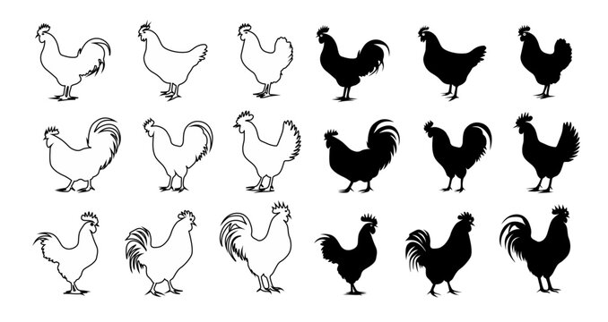 Chicken silhouette set illustration vector