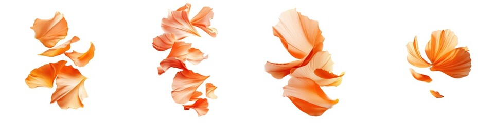 Pastel Orange Petals in Spring Air, delicate flower petals float softly, evoking a serene meadow ambiance, set against a bright white backdrop, capturing the essence of spring.