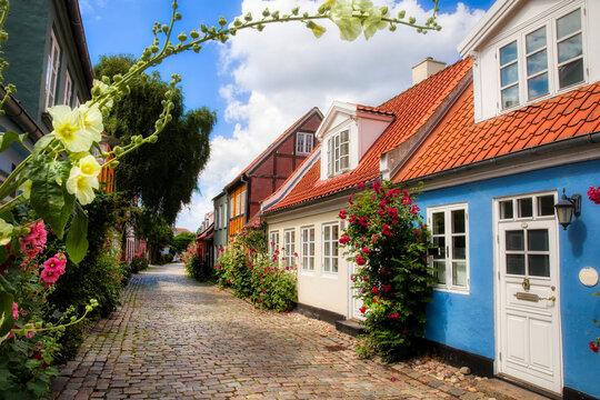 Houses in the Charming and Famous Street Called M&oslash;llestien in Aarhus, Denmark