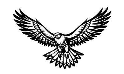 Obraz premium hawk flies with its wings spread, black silhouette on a white background