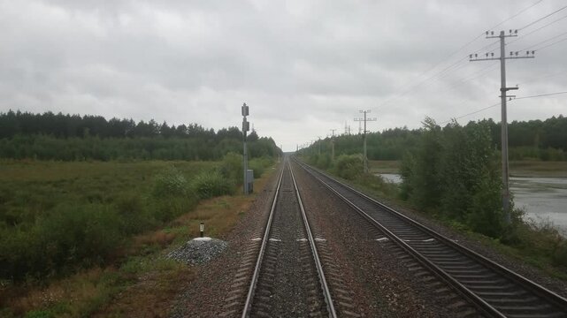 Video footage from the last carriage of a moving train. Autumn landscape. The Russian Railway. Moving backwards. Rails running away into the distance. The swamp is on the right side.