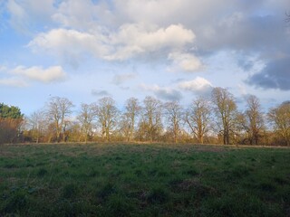 Early spring in East town park, Haverhill, UK. Sunny end of day, with strong sunlight over trees. Suffolk, March 2024