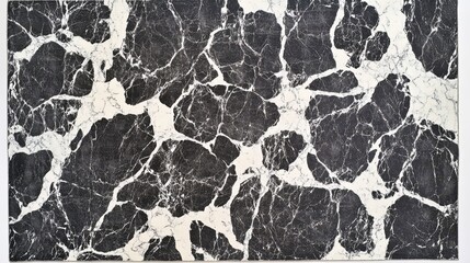 Obraz premium Elegant Black and White Marble Surface Featuring Intricate Veins and Patterns for Design Inspiration