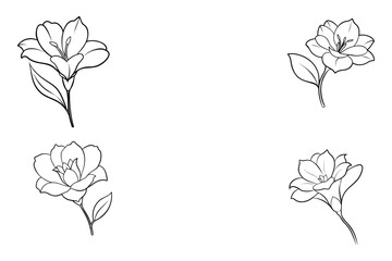 This is Freesia-vector-flowers black and white illustration design
