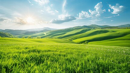 Obraz premium Rolling Green Hills Under a Sunny Sky