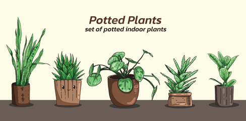 A set of potted indoor plants. Vector illustration on a transparent backgroundIllustrations set of home decorative plants. pictures isolate on white. Green plant for home, floral flower and houseplant
