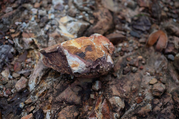 River stone with a naturally unique pattern.