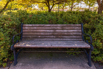 wooden bench in the park