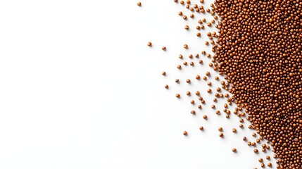 A close-up of scattered brown seeds on a white background, highlighting their textured surface and natural sheen.