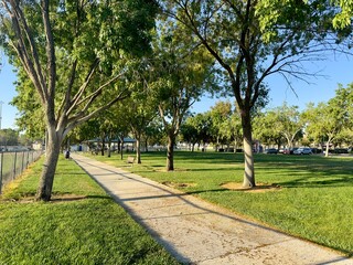 a lively city park features winding paths, expansive sports fields, and lush greenery, offering a vibrant space for recreation, exercise, and outdoor gatherings in the heart of the urban landscape