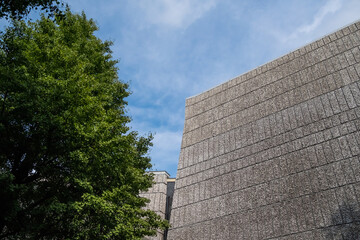 Ueno Park, is one of Japan's five oldest public parks. It's best known for Ueno Zoo, many museums, and spectacular cherry blossoms in the spring in Tokyo, Japan