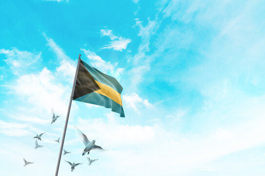Bahamas flag waving with flying doves in beautiful sky. Bahamas flag for Republic Day and Independence Day.