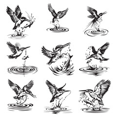 River Kingfisher Clipart Silhouette - Common Kingfisher Catching a fish Silhouette illustration in a White Background