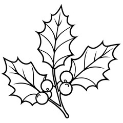 More detailed holly branch with sharp leaves and a cluster of berries, shown with simple lines vector