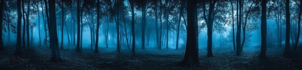 Obraz premium background with fog in the forest