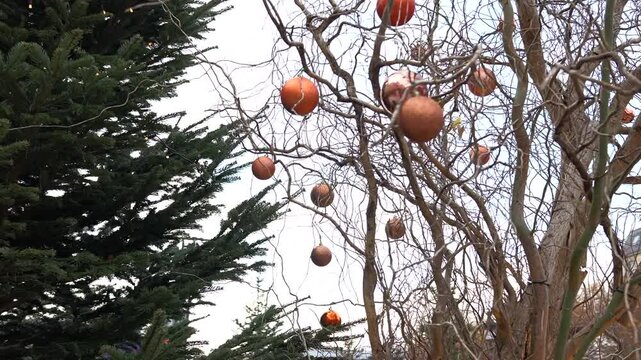 New Year Paris, Near the Hotel de Ville, trees decorated with Christmas balls