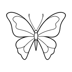     Butterfly vector illustration.

