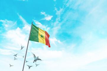 Senegal flag waving with flying doves in beautiful sky. Senegal flag for Republic Day and Independence Day.