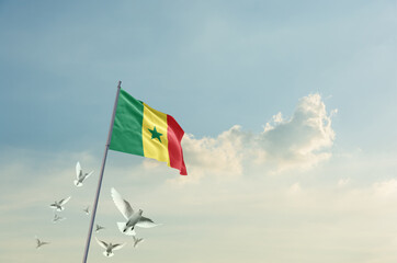 Senegal flag waving with flying doves in beautiful sky. Senegal flag for Republic Day and Independence Day.