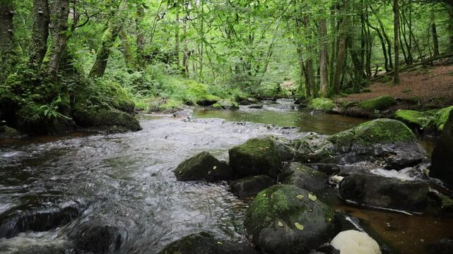 Cours d'eau du Caillot, au milieu d'une for&ecirc;t dans le Morvan en Bourgogne, calme, zen et paisible
