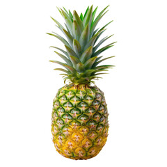 Fototapeta premium Pineapple png style isolated on white or transparent background 01