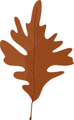 Autumn leaves vector 