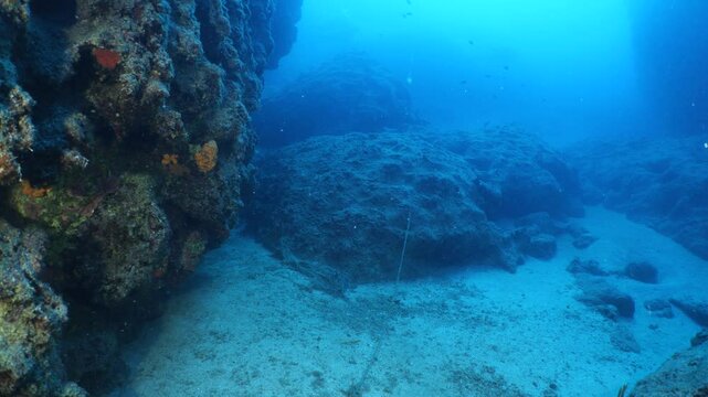 underwater scenery of rocks and reefs mediterranean sea blue water