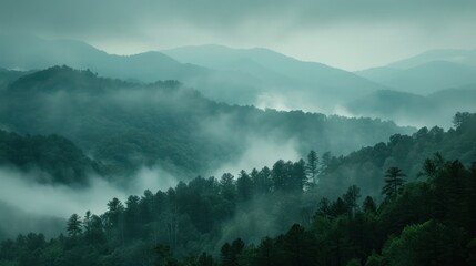 A scenic shot of the Smoky Mountains with layers of mist and forest