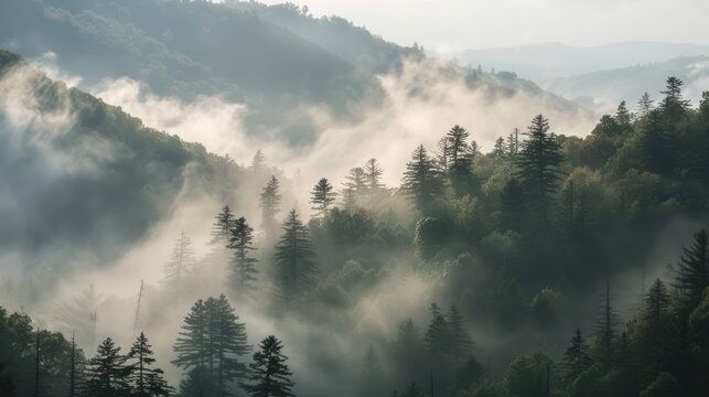 A scenic shot of the Smoky Mountains with layers of mist and forest