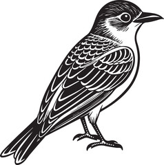 Obraz premium king bird silhouette vector white background.