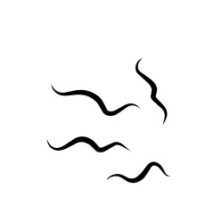 Traponema Palladium Bacteria Microorganism