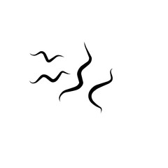 Traponema Palladium Bacteria Microorganism