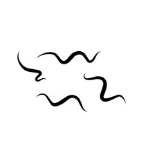 Traponema Palladium Bacteria Microorganism